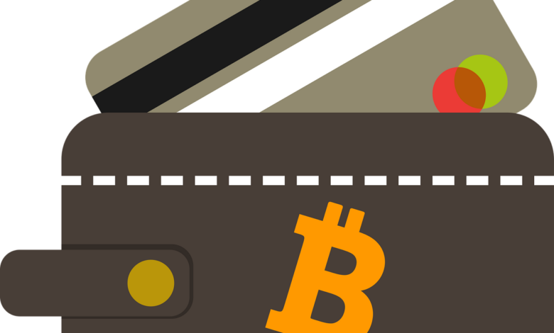 wallet, bitcoin, web wallet, online wallet, currency, vault, pay, wallet, wallet, wallet, wallet, wallet