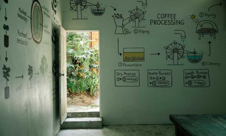 Artistic diagram of coffee processing in a serene indoor setting with garden view.