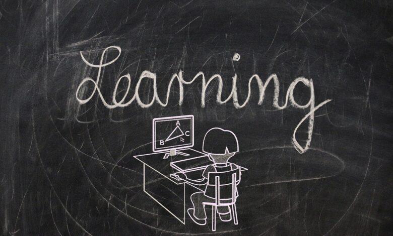 board, to learn, training, chalk, to paint, blackboard, write, slate, curriculum, teaching, concept, school, career, study, knowledge, skills, writing, curriculum, curriculum, curriculum, curriculum, curriculum