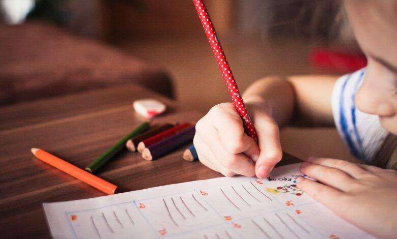 child, kid, play, study, color, learn, knowledge, creativity, achieve, daughter, girl, children, creative, education, draw, write, study, study, children, children, education, education, education, education, education