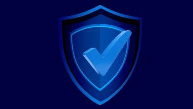 shield, security, lock, vulnerability, firewall, encryption, authentication, password, phishing, malware, spyware, ransomware, data protection, threat, risk, protection, prevention, surveillance, alarm, access control, backup, update, security protocol